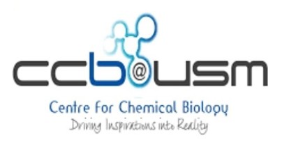 2021 Logo CCB iv