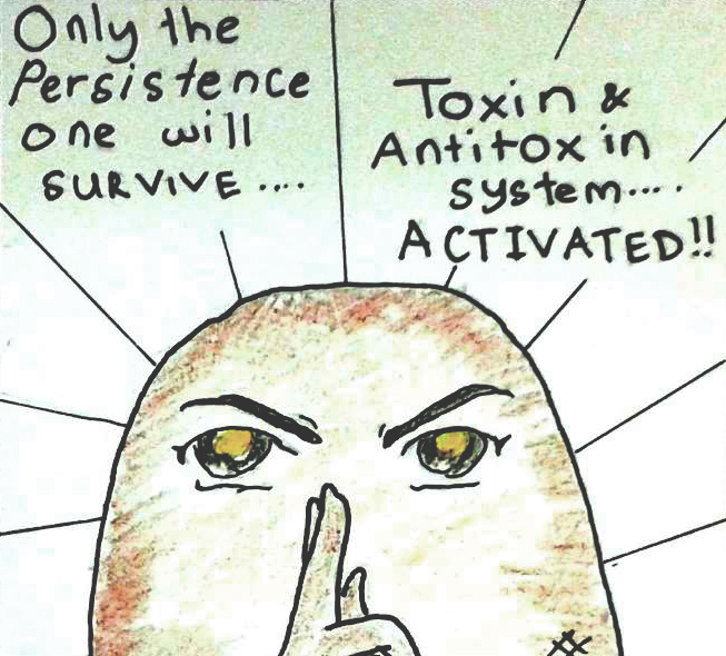Toxin–antitoxin System