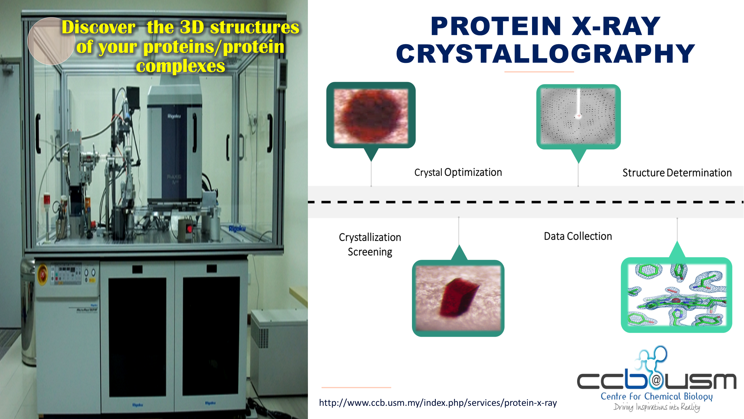 Protein X ray crystallography
