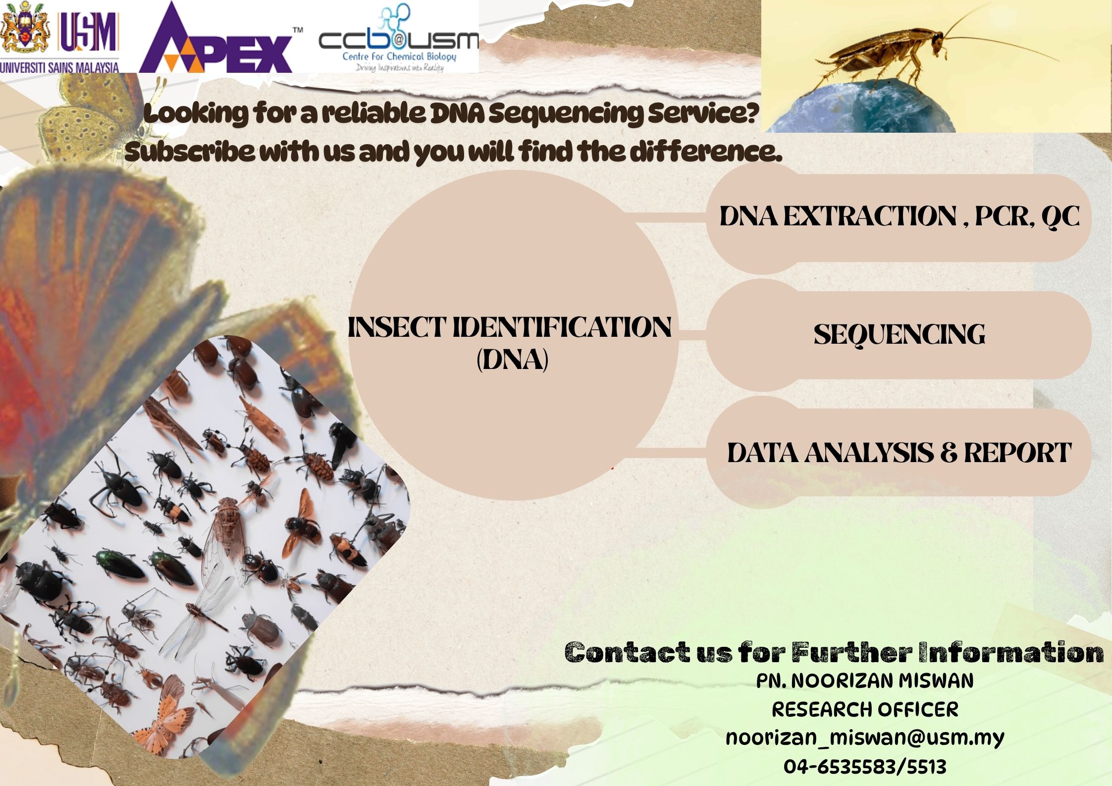 Insect identification