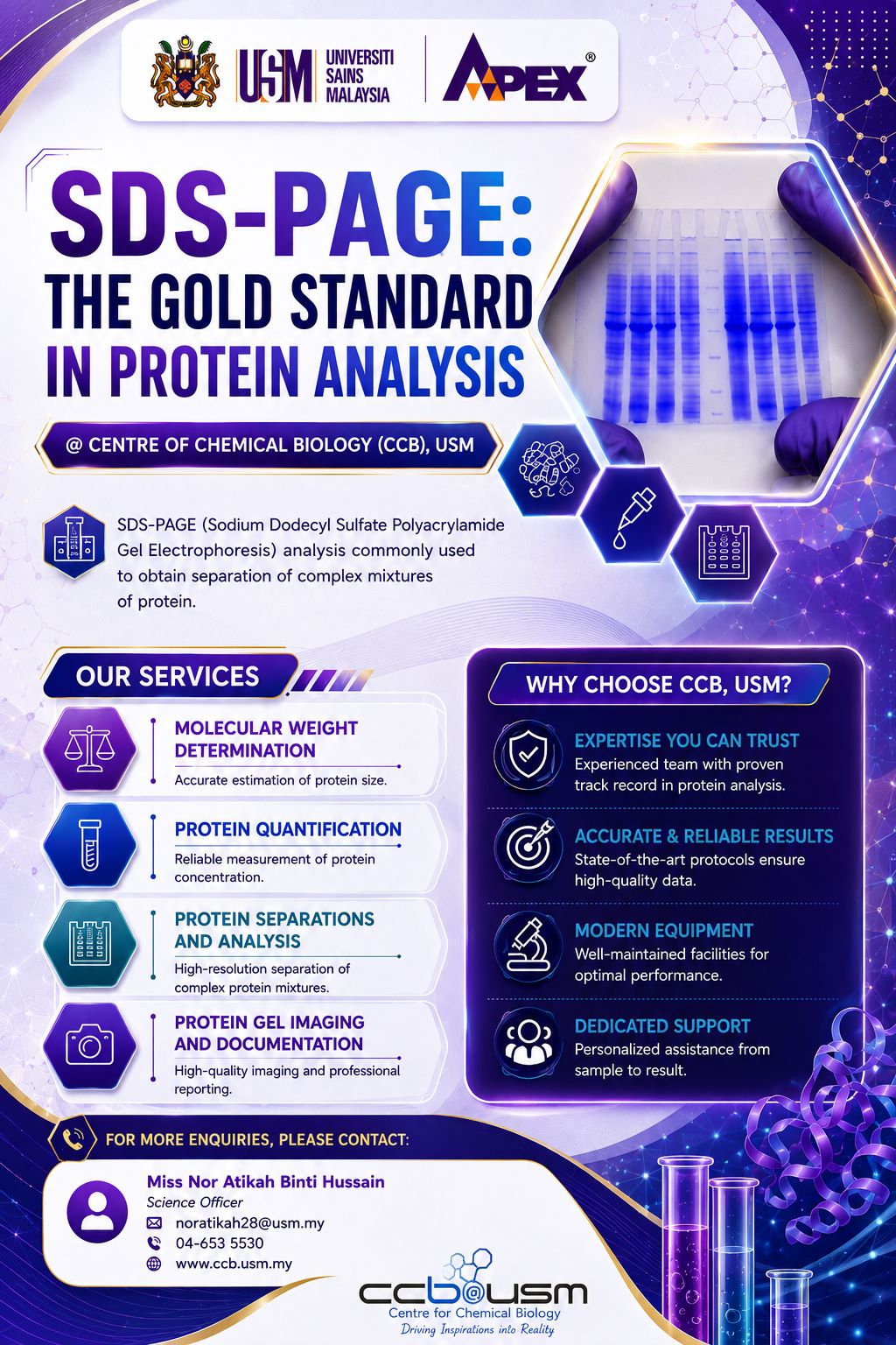 SDS PAGE Service